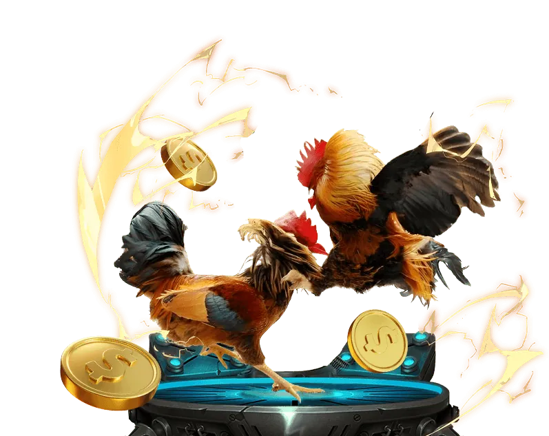 Hướng dẫn dành cho người mới bắt đầu MCW77